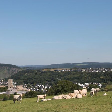 Ferienwohnung Auf Der Moselhoehe - Naehe Koblenz Und Cochem Дібліх Екстер'єр фото
