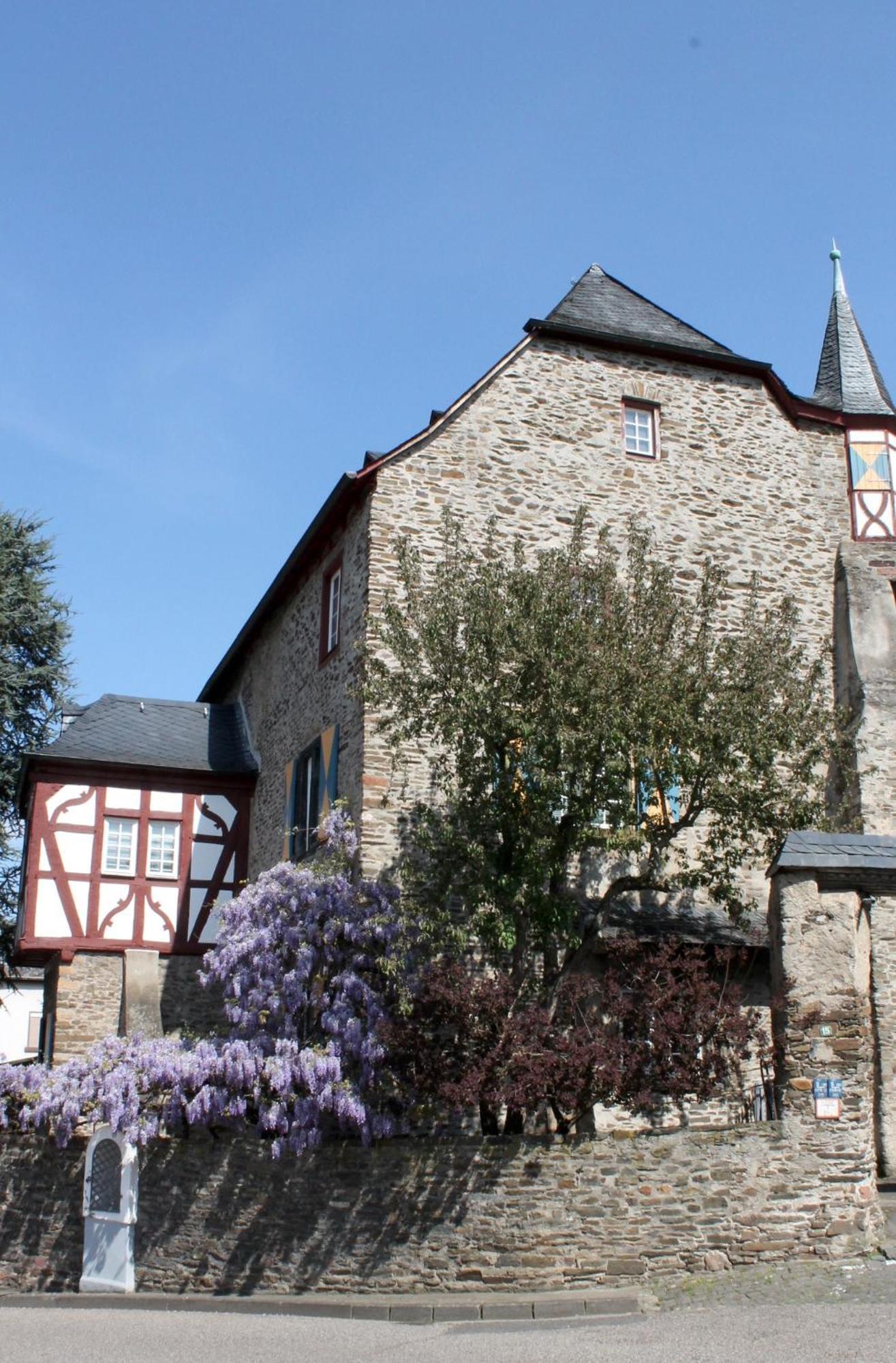 Ferienwohnung Auf Der Moselhoehe - Naehe Koblenz Und Cochem Дібліх Екстер'єр фото